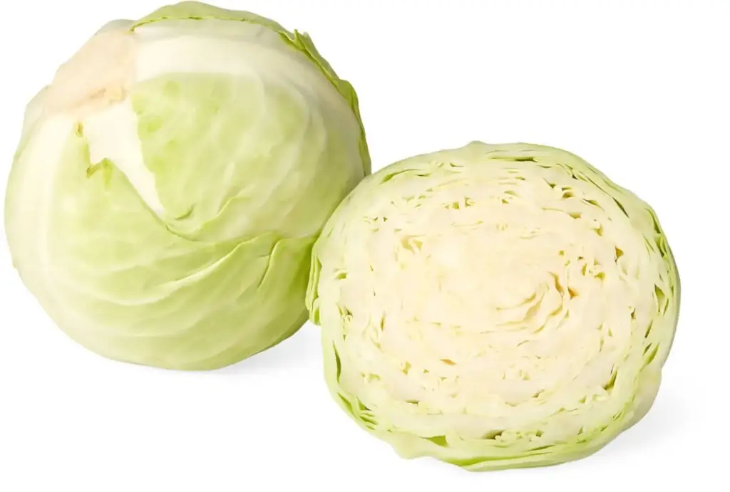 Choux blanc - White cabbage