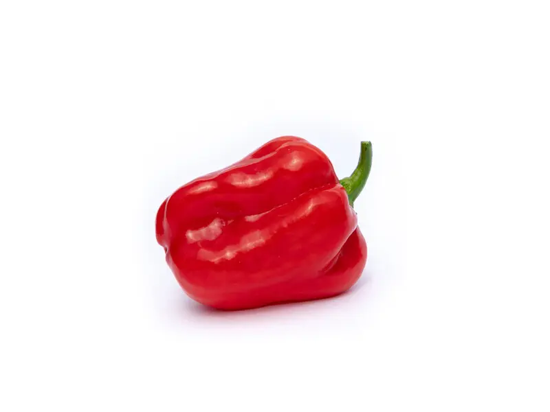 Piment frais rouge - Red chilli fresh