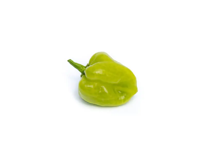 Piment vert