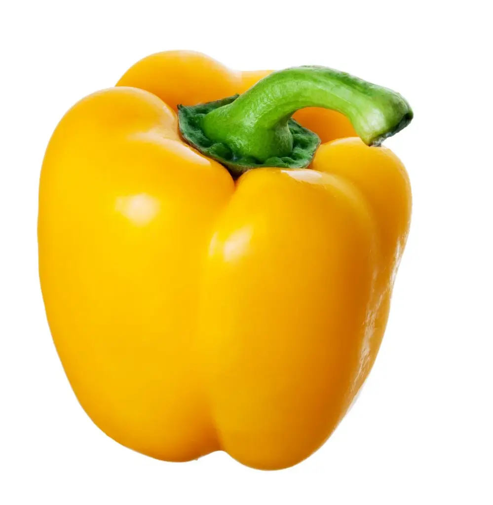 Poivron Jaune - Yellow Pepper