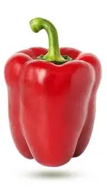 Poivron Rouge - Red Pepper