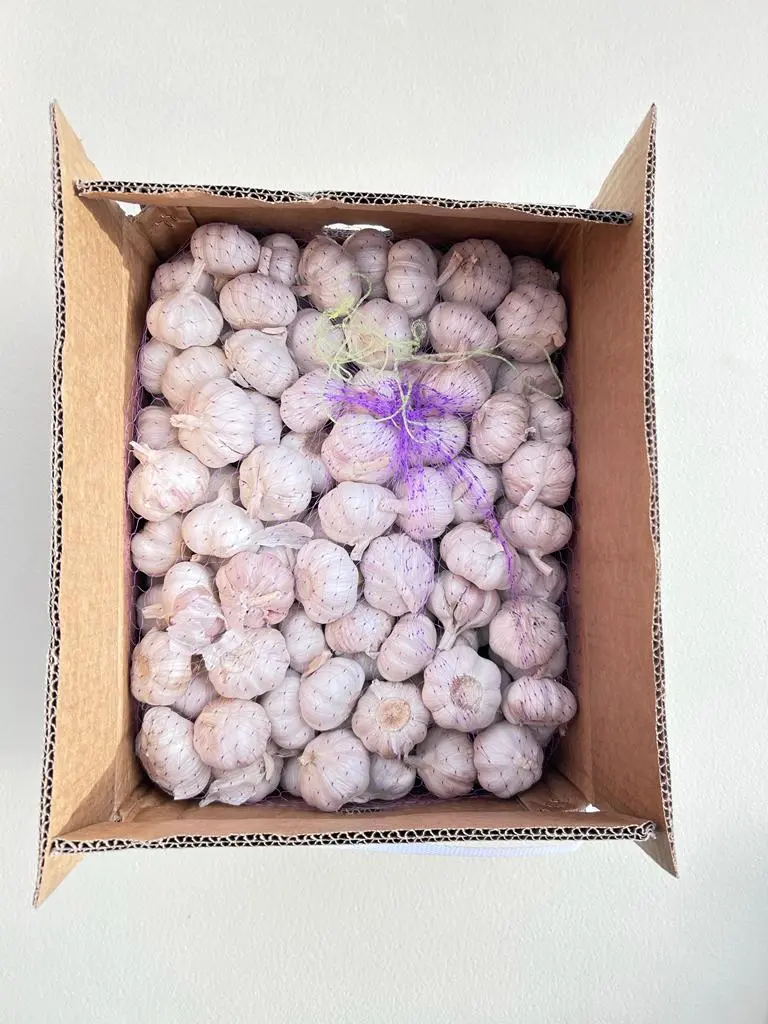 Ail - garlic dry ctn 10kg