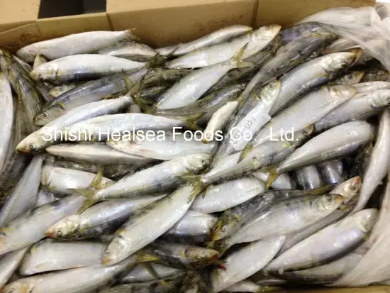 Poisson sardine ctn 10kg 