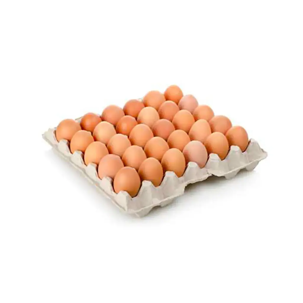 Alvéoles œufs 30 pcs