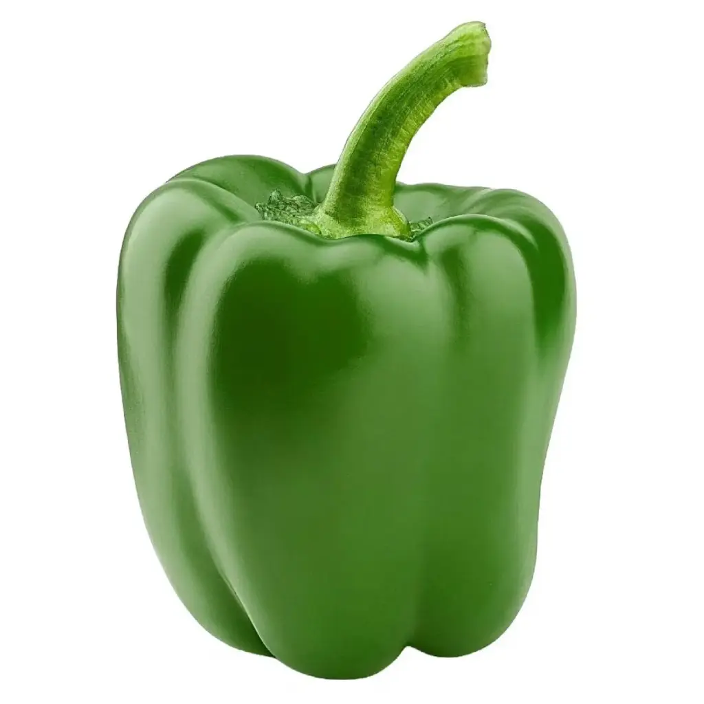 Poivron vert - Green Pepper