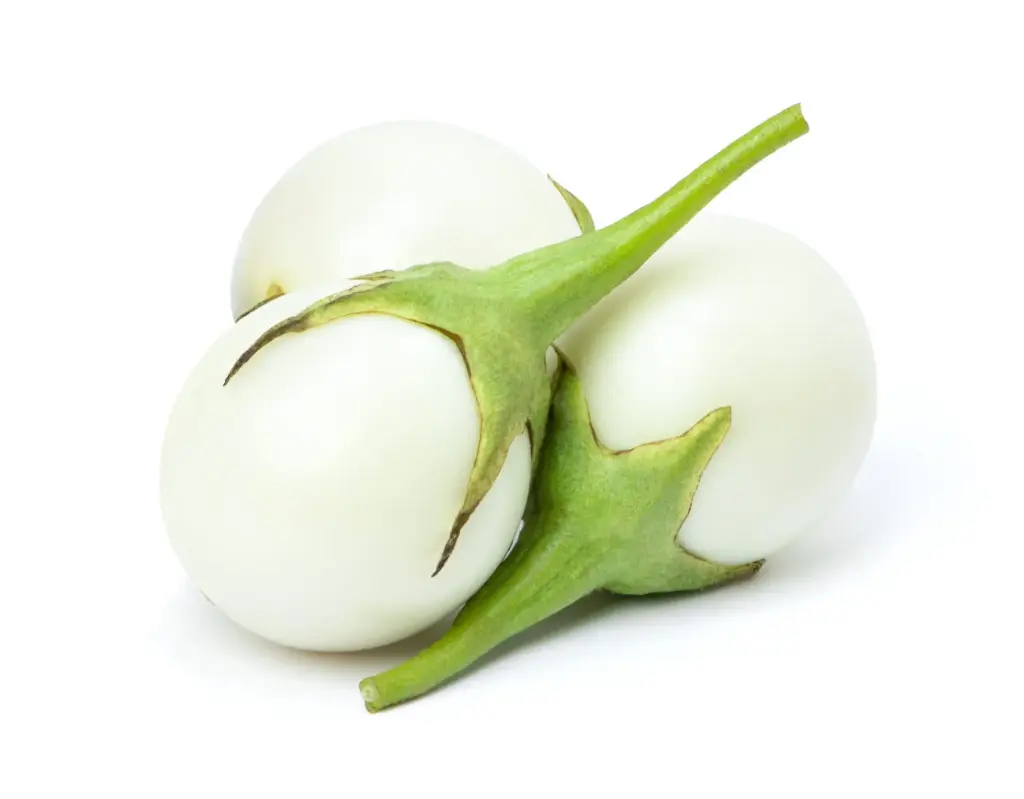 Aubergine blanc - Eggplants white fresh