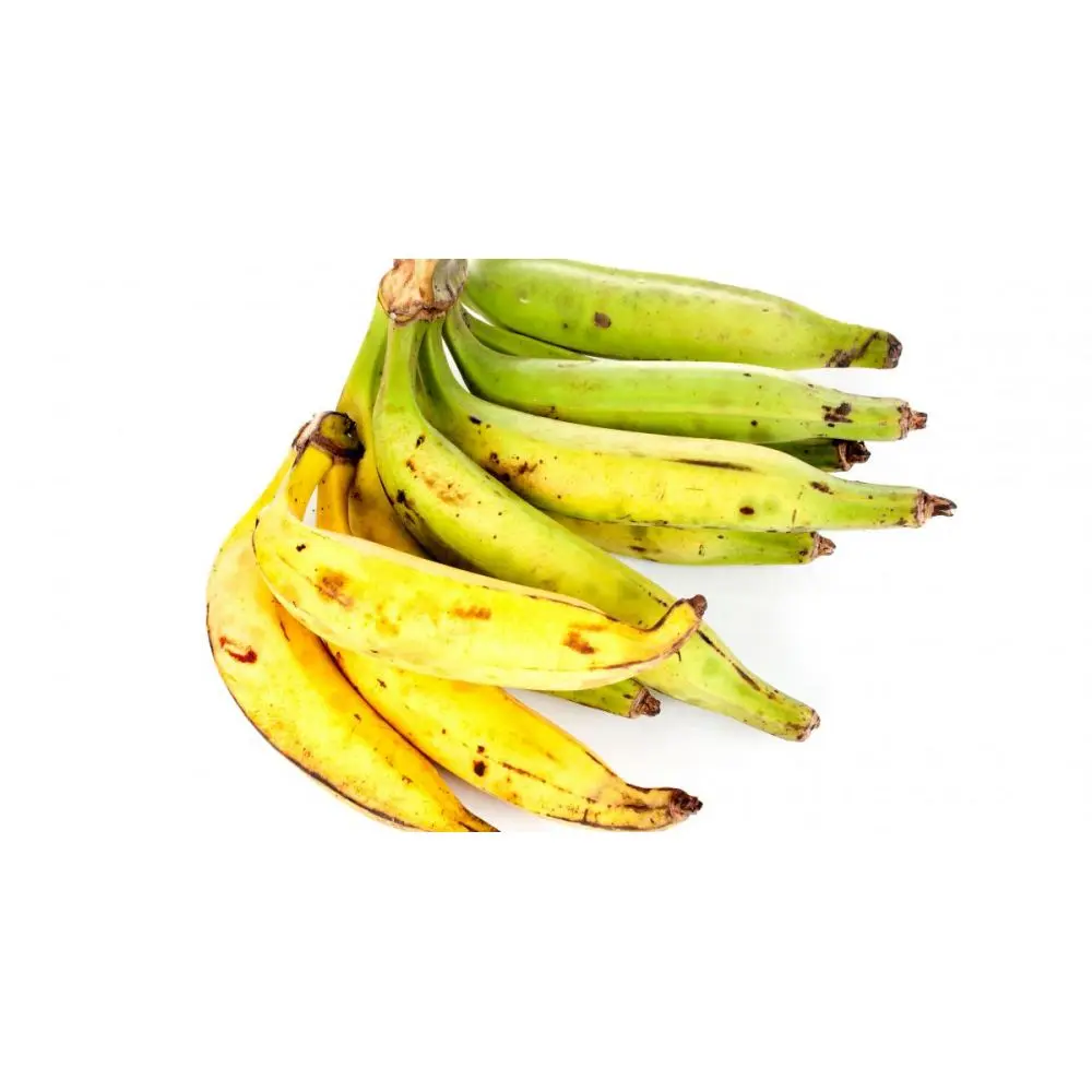 Banane plantain - Banana plantain (alloco)