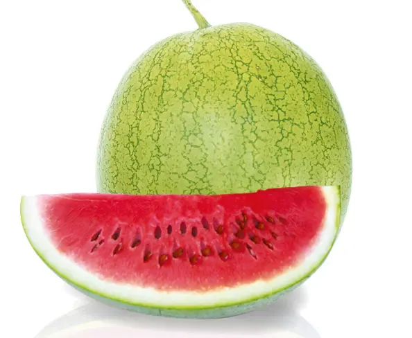 Pastèque - Watermelon