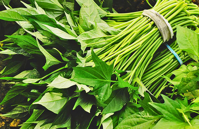 Feuilles de patates - potatoes leaves