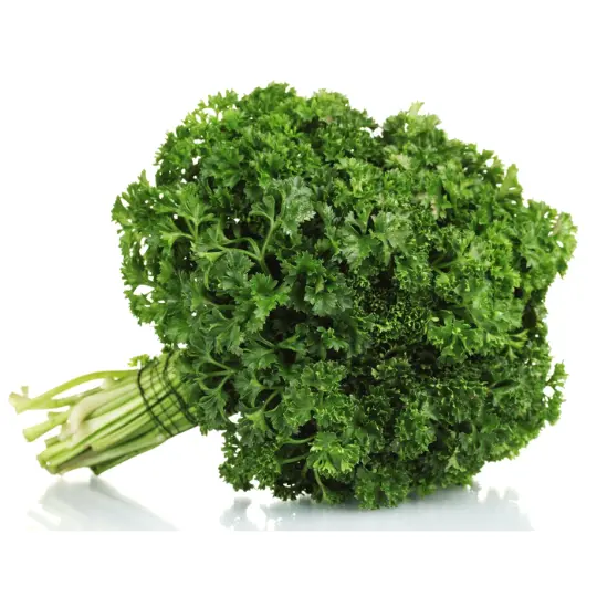 Persil - Parsley