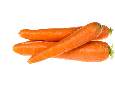 Carotte Frais - Fresh Carrots