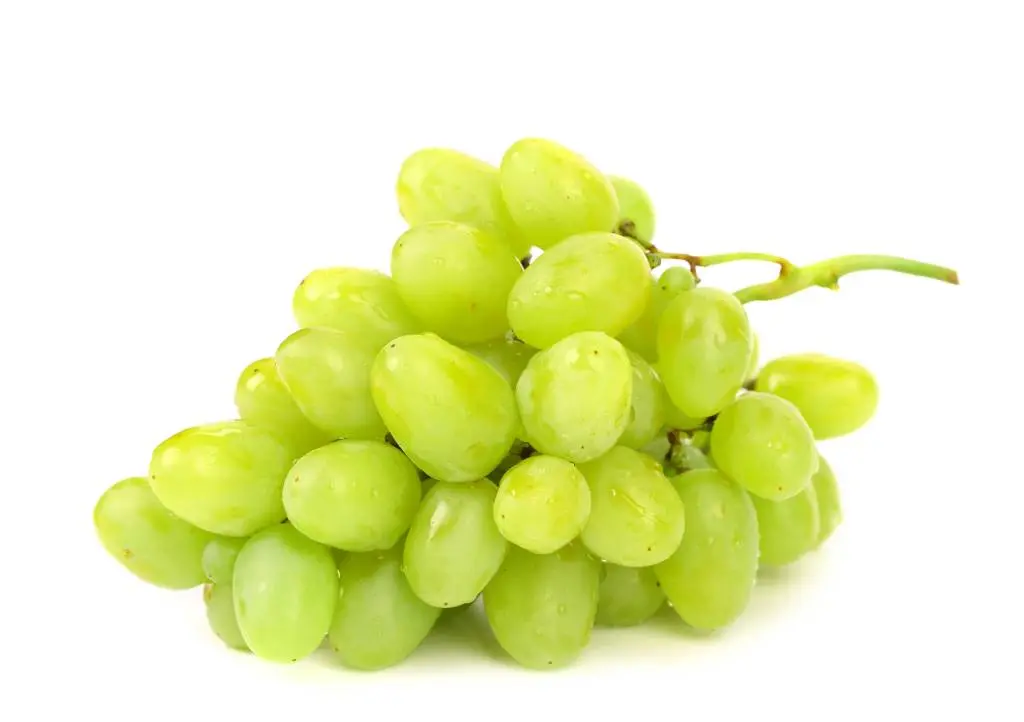 Raisin vert - Green Grappes