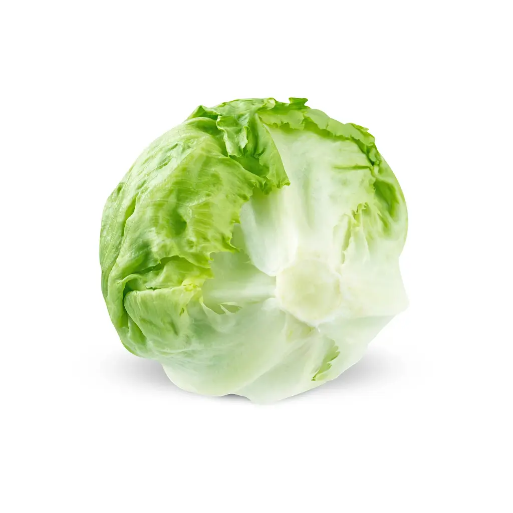 Salade Surgelé - Lettuce icebirg