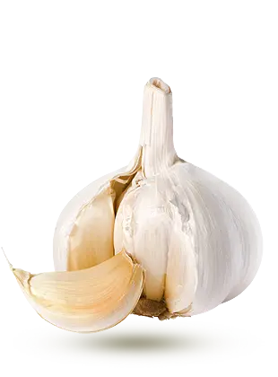 Ail - Garlic dry