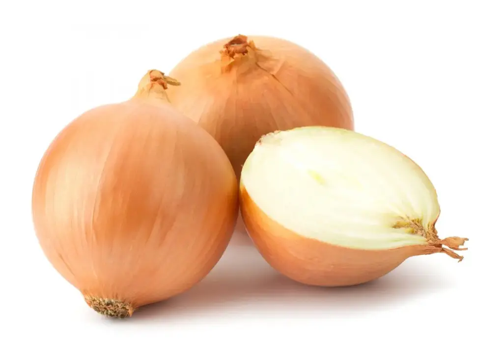 Oignon blanc - White onion