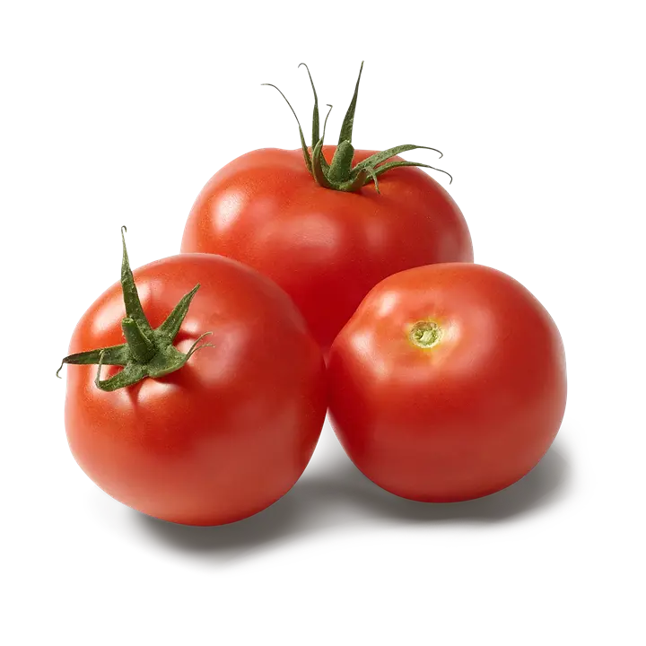 Tomate Frais - fresh Tomato