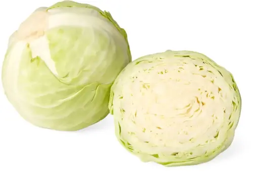 Choux blanc - White cabbage