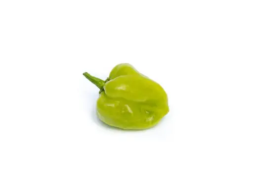 Piment vert
