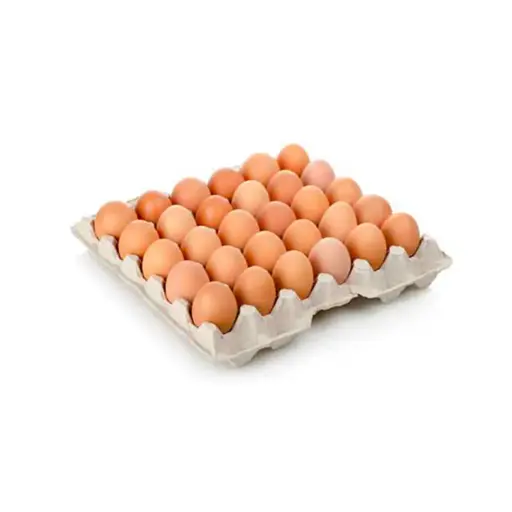 Alvéoles œufs 30 pcs