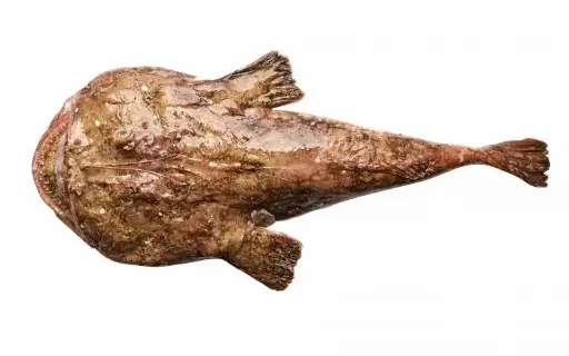 Lotte Entier - Monkfish Whole 