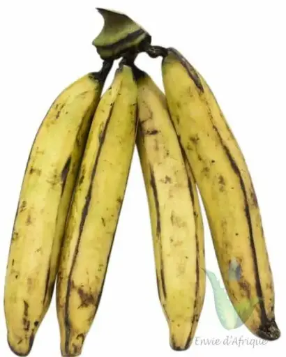 Banane Plantain