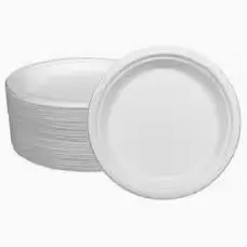 Assiettes jetables - Disposable plate pcsx50