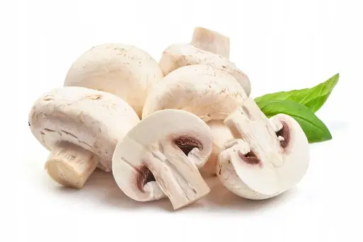 Champignons - Mushroom 1kg