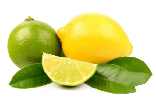 Citron - Lemon 