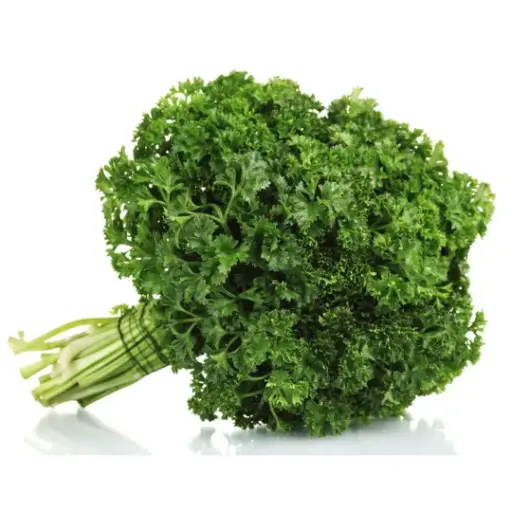 Persil - Parsley
