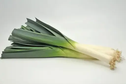 Poireau - Leek 