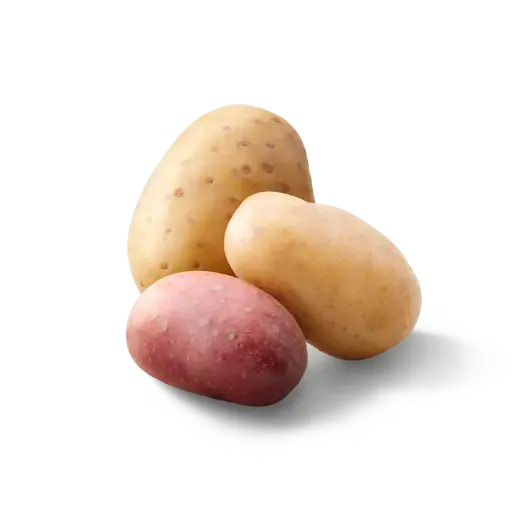 Pomme de terre kg