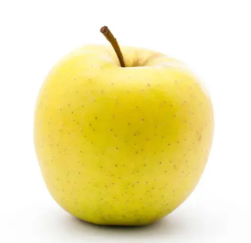 Pomme jaune - Fresh Apple Gold (yellow)