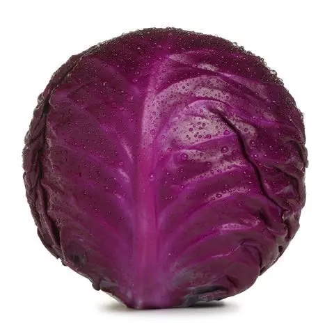 Choux rouge - Red cabbage