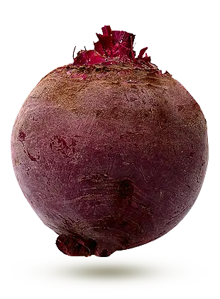 Betteraves - Beettroots