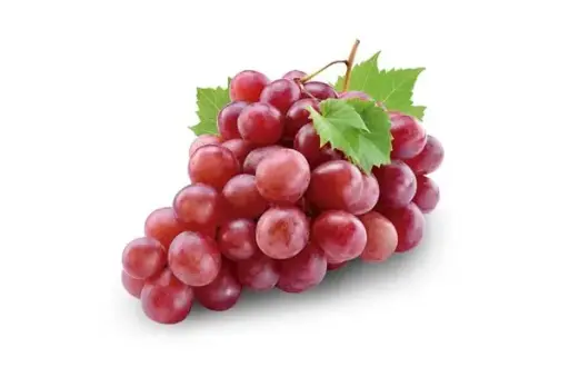 Raisin rouge - Red Grappes