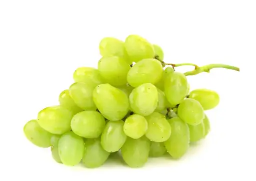 Raisin vert - Green Grappes