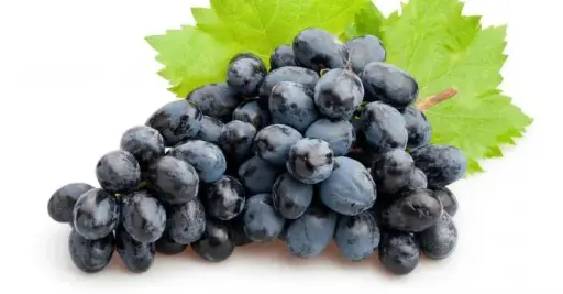 Raisin noir - Black Grappes