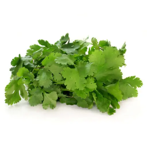 Coriandre - Coriander
