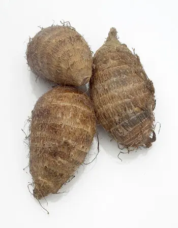 Taro 