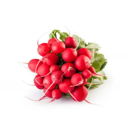 Radis Rouge - Fresh radish red