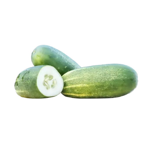 Concombre - Cucumber