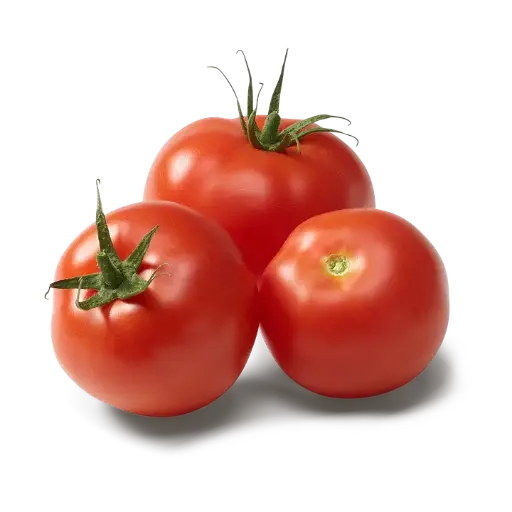 Tomate 